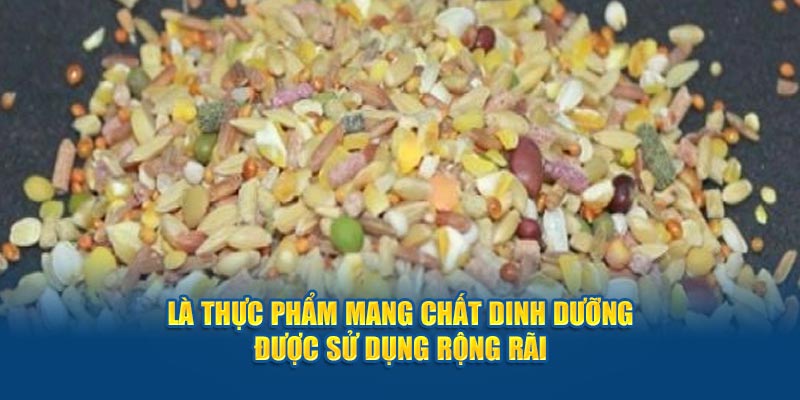 Là thực phẩm mang chất dinh dưỡng được sử dụng rộng rãi