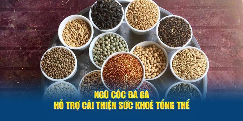 Ngũ cốc đá gà hỗ trợ cải thiện sức khoẻ tổng thể