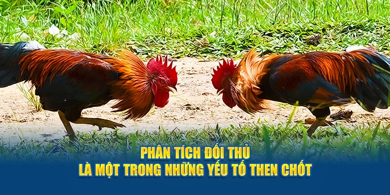 Phân tích đối thủ là một trong những yếu tố then chốt