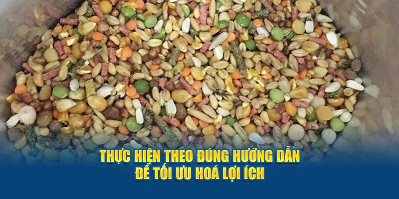 Thực hiện theo đúng hướng dẫn để tối ưu hoá lợi ích